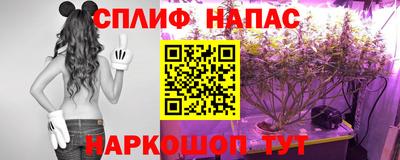 apvp Пугачёв