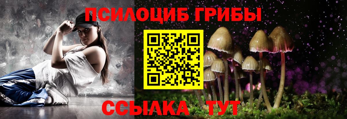Александров  купить наркотики сайты  Вход с VPN  Псилоцибиновые грибы Psilocybine cubensis 